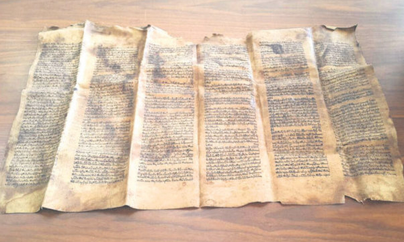 نسخة توراة عمرها 600 عام، كتبت على جلد حوت (الأناضول).