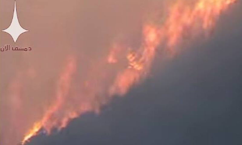 اندلاع الحرائق في جبل التركمان بريف اللاذقية الشمالي، السبت 23 نيسان.