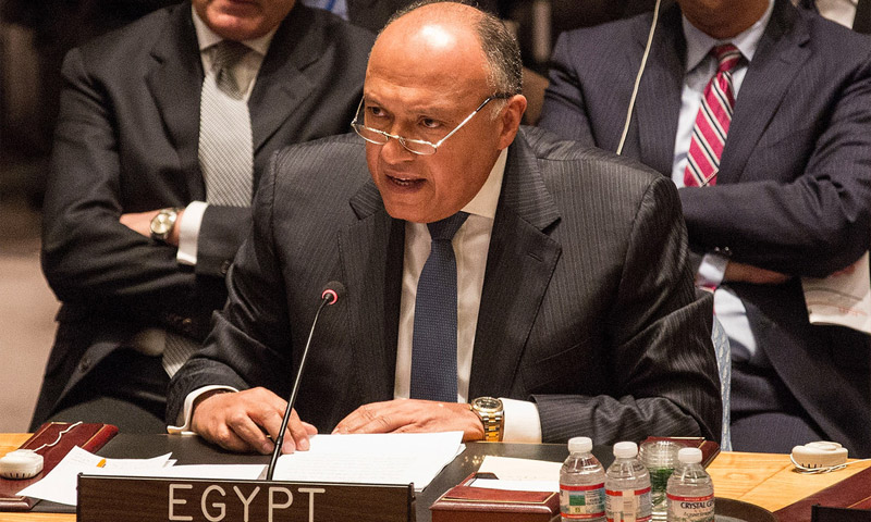 مندوب مصر الدائم لدى الأمم المتحدة، عمرو عبد اللطيف.