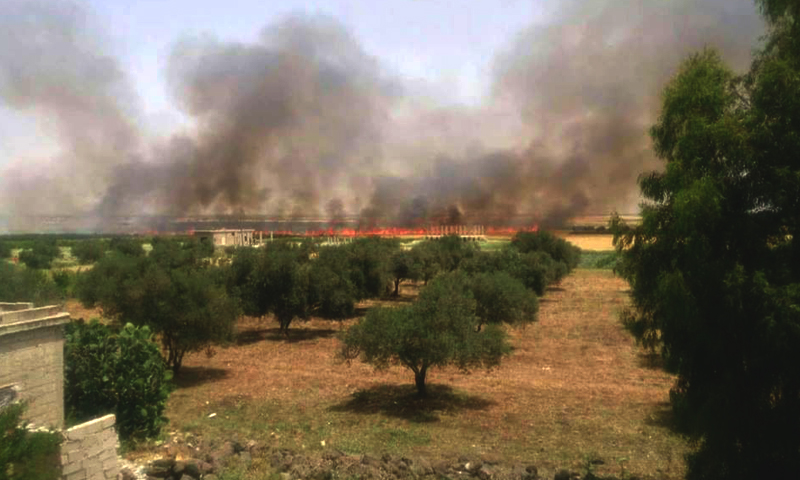 احتراق الأراضي الزراعية في بلدة نافعة في حوض اليرموك غرب درعا، الاثنين 16 أيار (ناشطون).