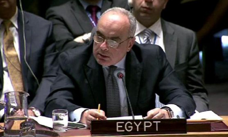 عمرو أبو العطا، مندوب مصر لدى مجلس الأمن الدولي.