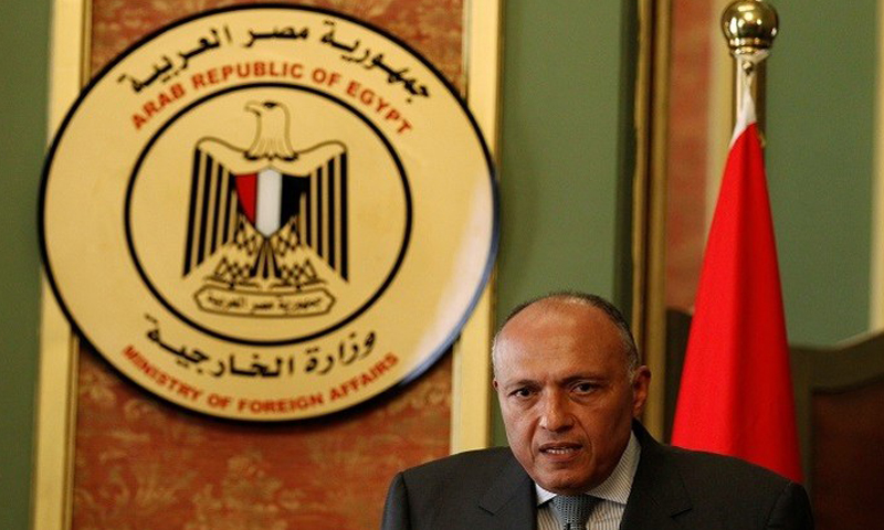 وزير الخارجية المصري سامح شكري (إنترنت)