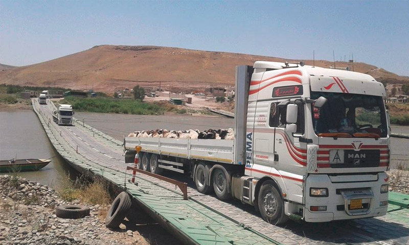 سيارات تصدير الأغنام عبر "سيمالكا" إلى "كردستان العراق" (إنترنت)