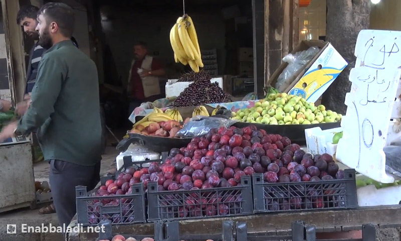 محاصيل صيفية معروضة للبيع في مدينة هنانو - حلب (عنب بلدي)