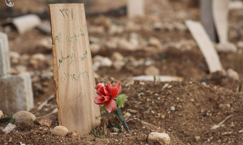 وردة أمام قبر في داريا - 28 تموز (المجلس المحلي لمدينة داريا)