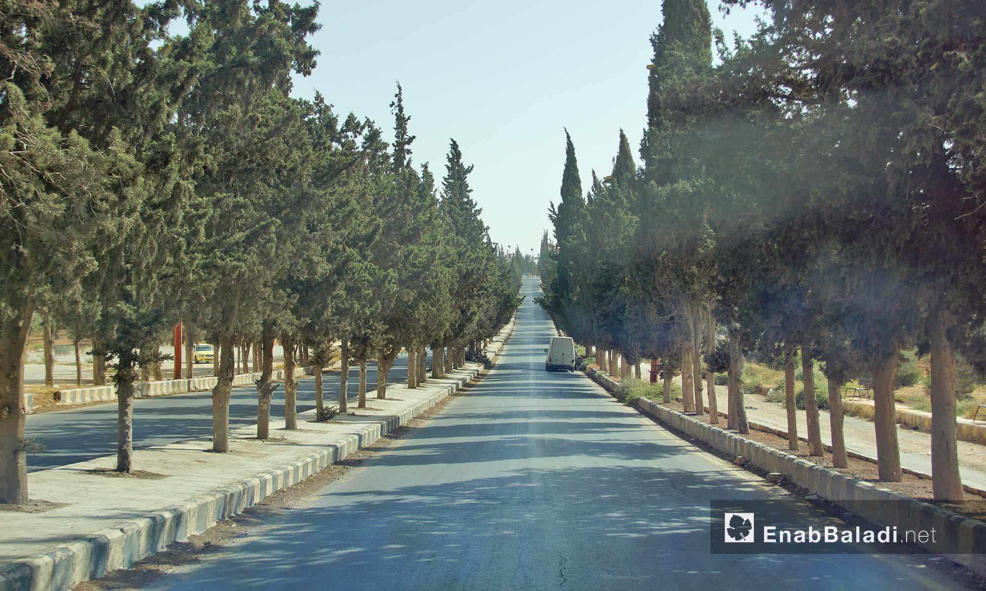 طريق أريحا آخر مدينة إدلب - 14 تشرين الأول 2016 (عنب بلدي)