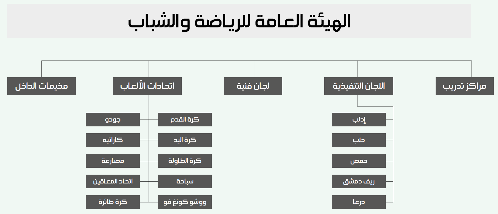 مخطط يظهر هيكلية الهيئة العامة للشباب والرياضة (عنب بلدي)