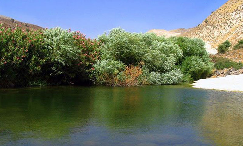 كفرالما منطقة غنية بالمياه والينابيع تقع في حوض اليرموك بريف درعا الغربي (فيس بوك)
