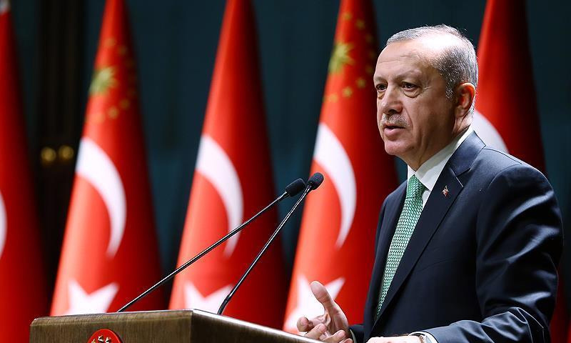 الرئيس التركي، رجب طيب أردوغان (الاناضول)