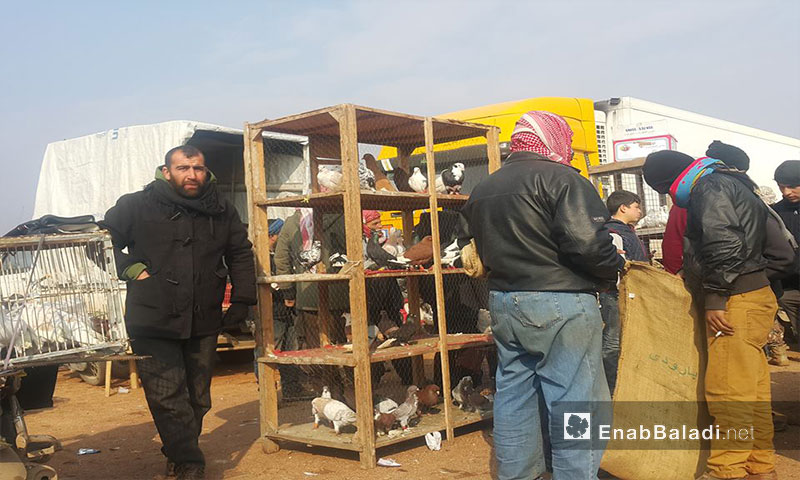 سوق الطيورفي معرة مصرين بإدلب - 27 كانون الثاني 2017 (عنب بلدي)