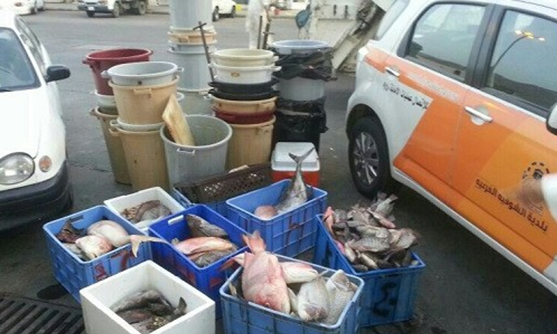 صورة تناقلها سعوديون على أنها في سوق السمك في عسير (تويتر)