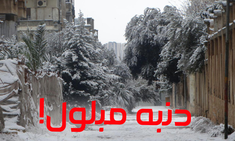 الثلوج تزور مدينة حمص في 2017 (عنب بلدي)
