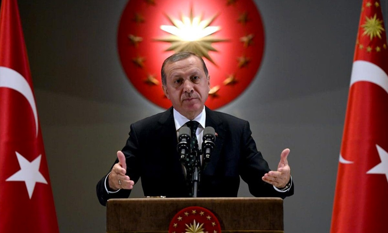 الرئيس التركي رجب طيب أردوغان (NTV)