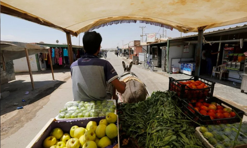 لاجئ سوري يبيع الخضرة في مخيم الزعتري على الحدود الأردنية السورية (رويترز)