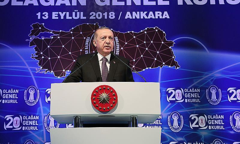 الرئيس التركي رجب طيب أردوغان (الاناصول)