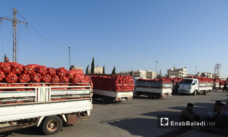 سيارات تحمل كميات من البصل في مدينة مارع بريف حلب الشمالي - 23 من تشرين الثاني 2018 (عنب بلدي)