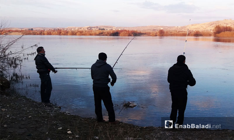 أشخاص يصطادون السمك من نهر الفرات - 2017 (عنب بلدي)