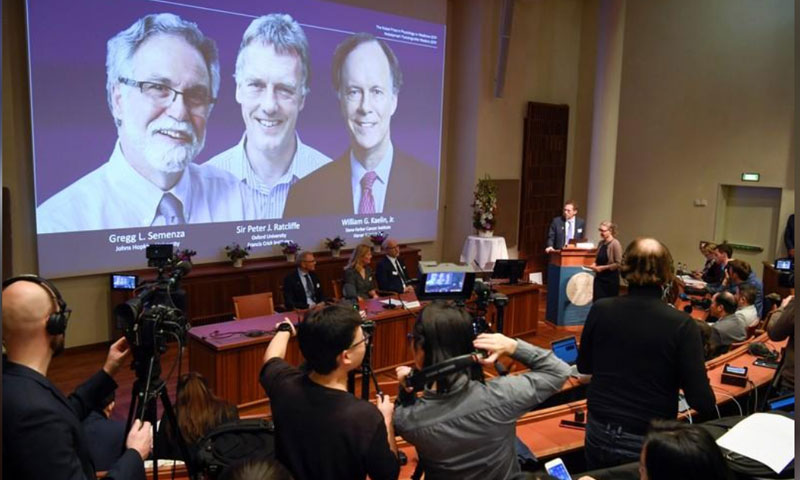 الإعلان عن الفائزين بجائزة نوبل للطب في السويد - 7 تشرين الأول 2019 (رويترز)
