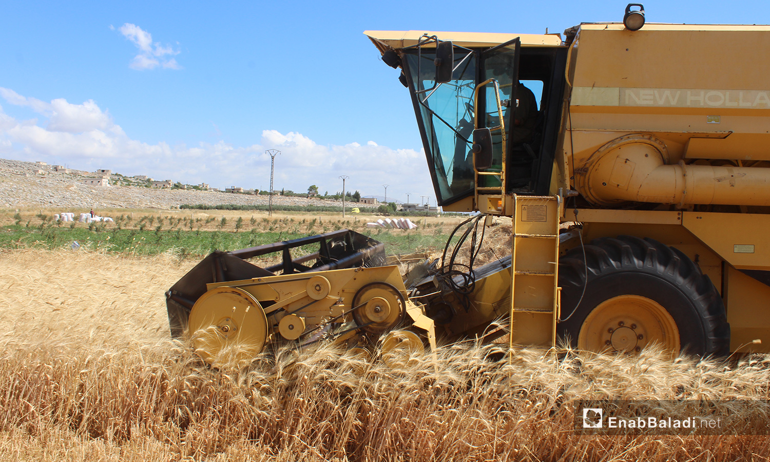 حصاد القمح في سهل الروج بريف إدلب - 4 حزيران 2020 (عنب بلدي/إياد عبد الجواد)
