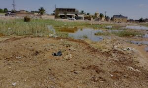المياه الجوفية تصل إلى سطح التربة في أراضي بلدة الشحيل شرقي دير الزور – 8 من نيسان 2024 (عنب بلدي/ عبادة الشيخ)
