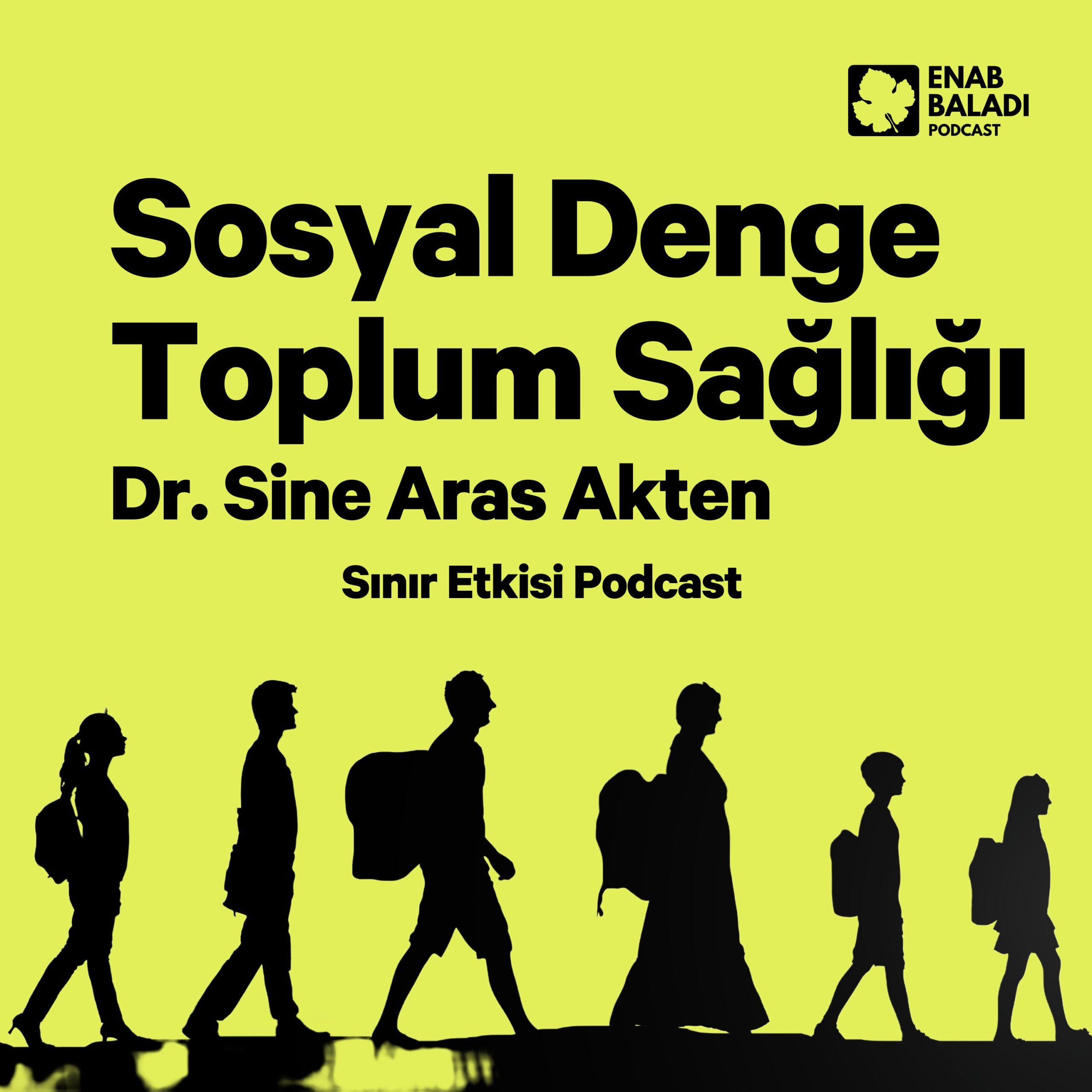 Sosyal Denge Toplum Sağlığı Dr. Sine Aras Akten