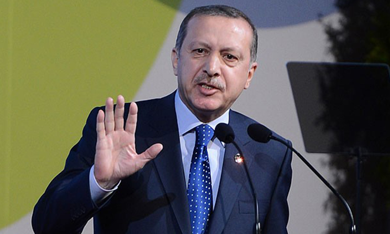 الرئيس التركي رجب طيب أردوغان (إنترنت)