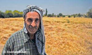 مزارع في أحد حقول الغوطة الشرقية لدمشق (عنب بلدي)