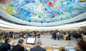 جلسة لمجلس حقوق الإنسان التابع للأمم المتحدة - (إنترنت)