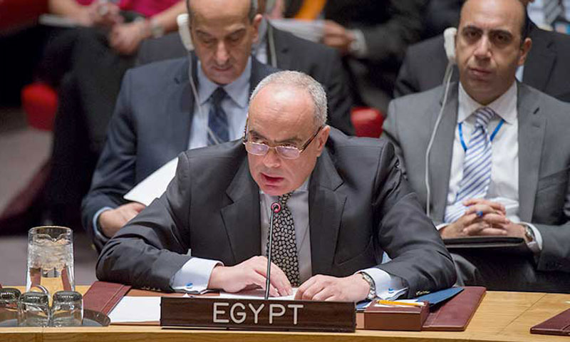 المندوب المصري في مجلس الأمن عمرو أبو العطا (وكالات)