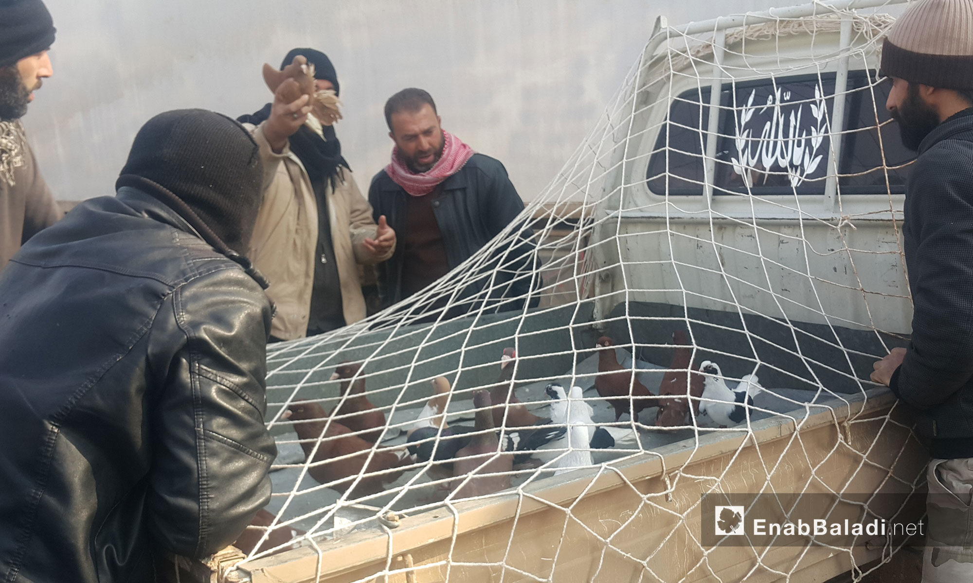 بائع طيور في السوق المخصص لها بمعرة مصرين - 20 كانون الثاني 2017 (عنب بلدي)