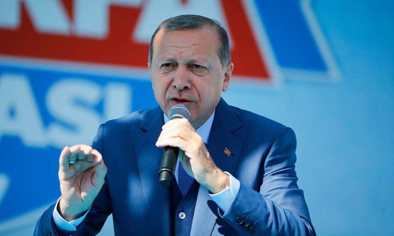 الرئيس التركي رجب طيب أردوغان - (TRT)