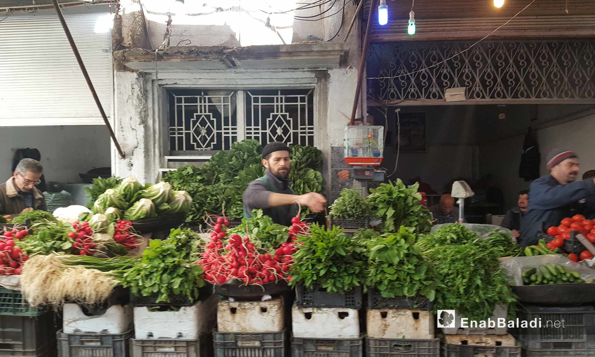 سوق الخضار في مدينة القامشلي - 19 نيسان 2017 (عنب بلدي)