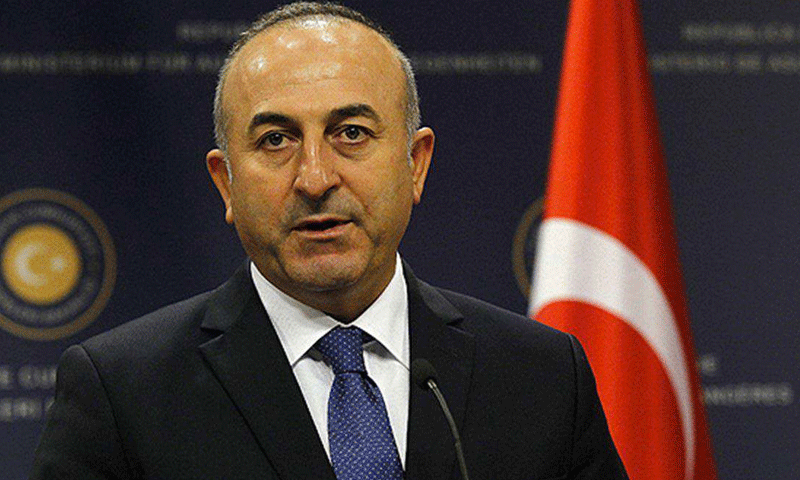 وزير الخارجية التركية، مولود جاووش أوغلو (إنترنت)