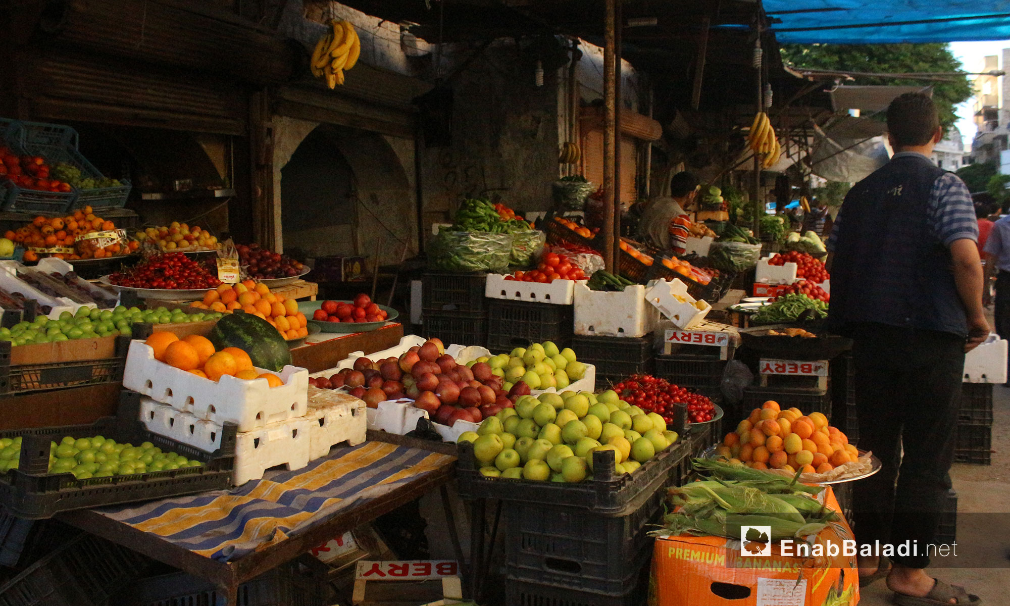 أنواع مختلفة من الفاكهة في الأسواق بمدينة إدلب أول أيام شهر رمضان المبارك - 27 أيار 2017 (عنب بلدي)