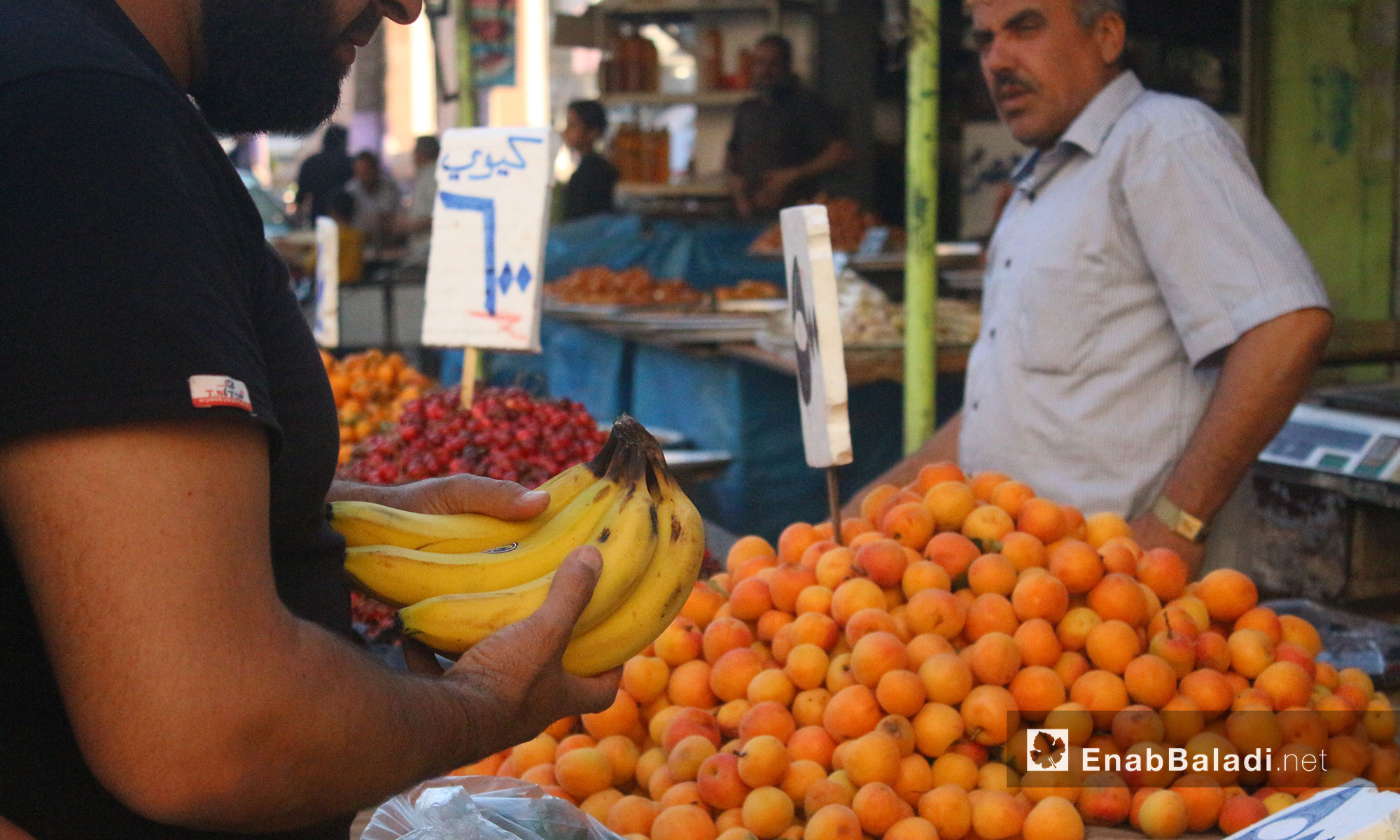 أحد الزبائن يتسوق الفاكهة في سوق مدينة إدلب أول أيام شهر رمضان المبارك - 27 أيار 2017 (عنب بلدي)