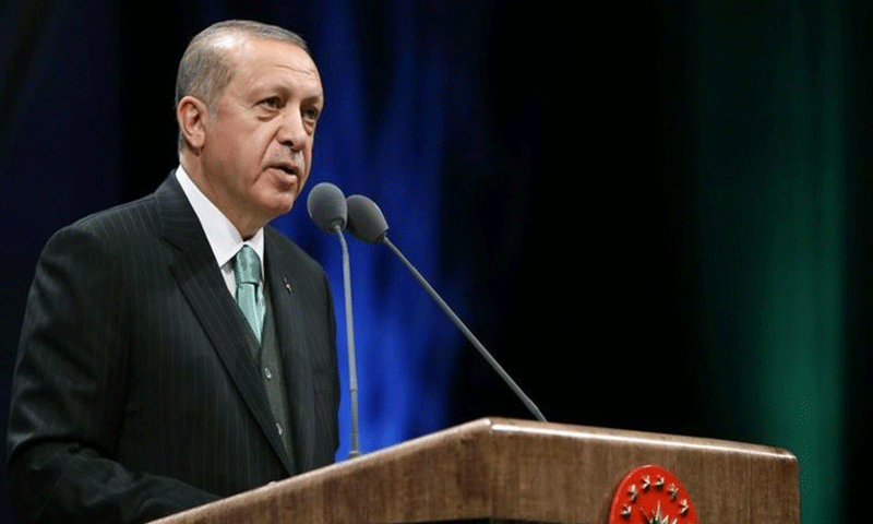 الرئيس التركي رجب طيب أردوغان (إنترنت)