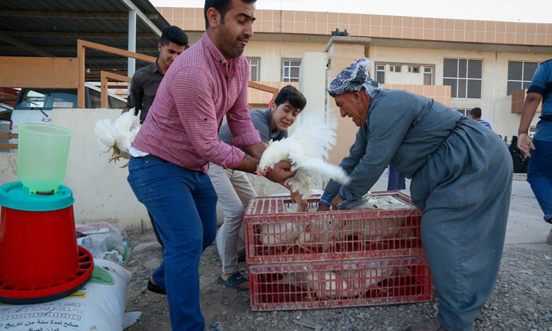 مشروع أممي لتدريب اللاجئين السوريين في العراق على عمل المزارع - (منظمة فاو)