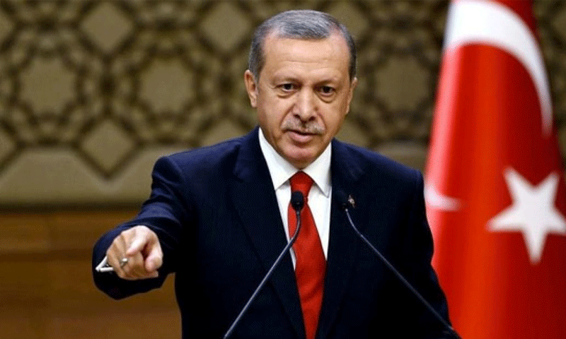 الرئيس التركي، رجب طيب أردوغان (إنترنت)