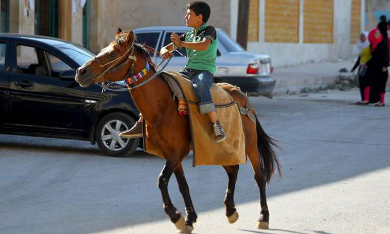 طفل سوري يقود حصانًا في مدينة إدلب بعد سماعه دوي غارة جوية - 18 تموز 2017 (AFP)
