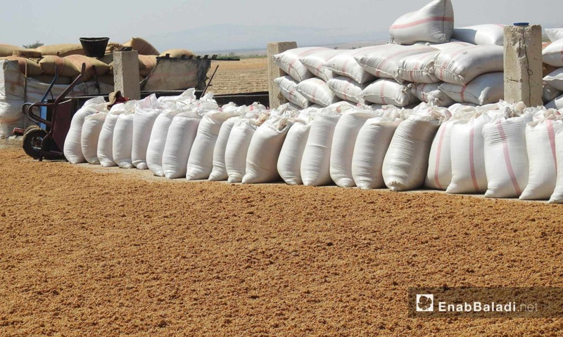 مراحل تحويل القمح إلى البرغل في أحد مطاحن ريف حلب الشمالي - 24 آب 2017 (عنب بلدي)