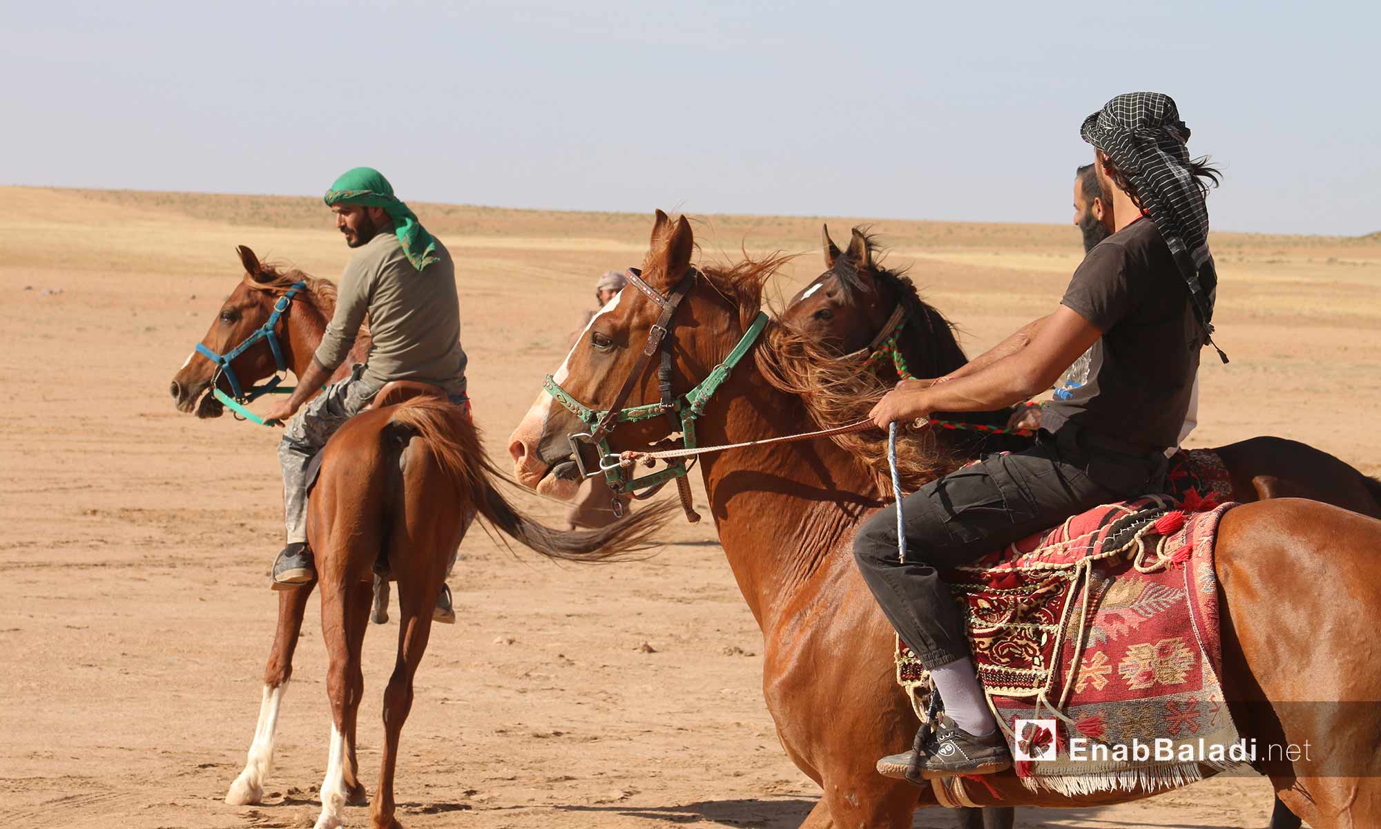 سباق مهرجان البادية للخيول العربية الأصلية في ريف حلب - 13 أيار 2017 (عنب بلدي)