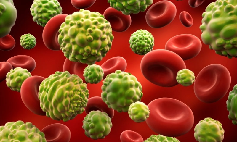 خلايا سرطانية تهاجم كريات الدم الحمراء (انترنت)