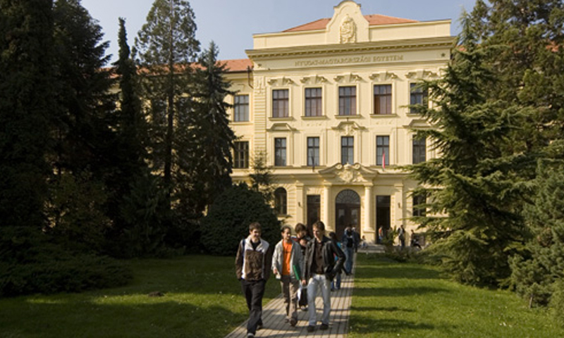 جامعة في هنغاريا (انترنت)