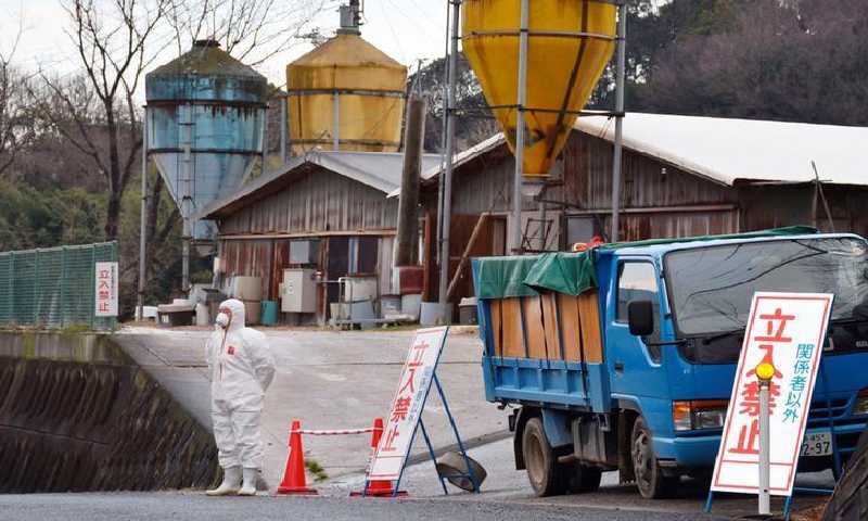 مزرعة دواجن تفشت بها انفلونز الطيور في مقاطعة كاجاوا في غرب اليابان يوم 10 كانون الثاني 2018(رويترز)