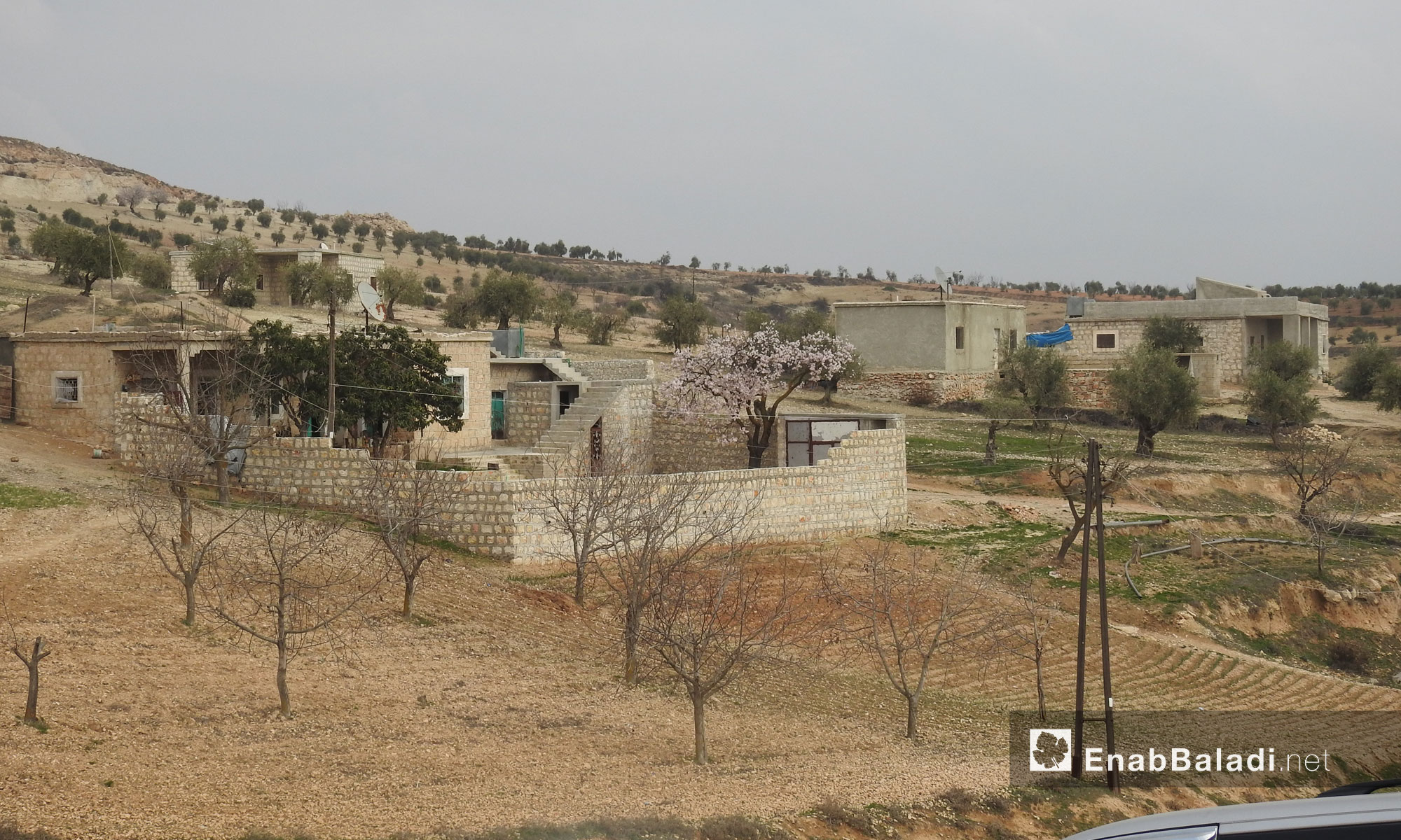 قرية ديكماطاش بعد سيطرة الجيش الحر عليها ضمن عملية "غصن الزيتون" في عفرين - 21 شباط 2018 (عنب بلدي)