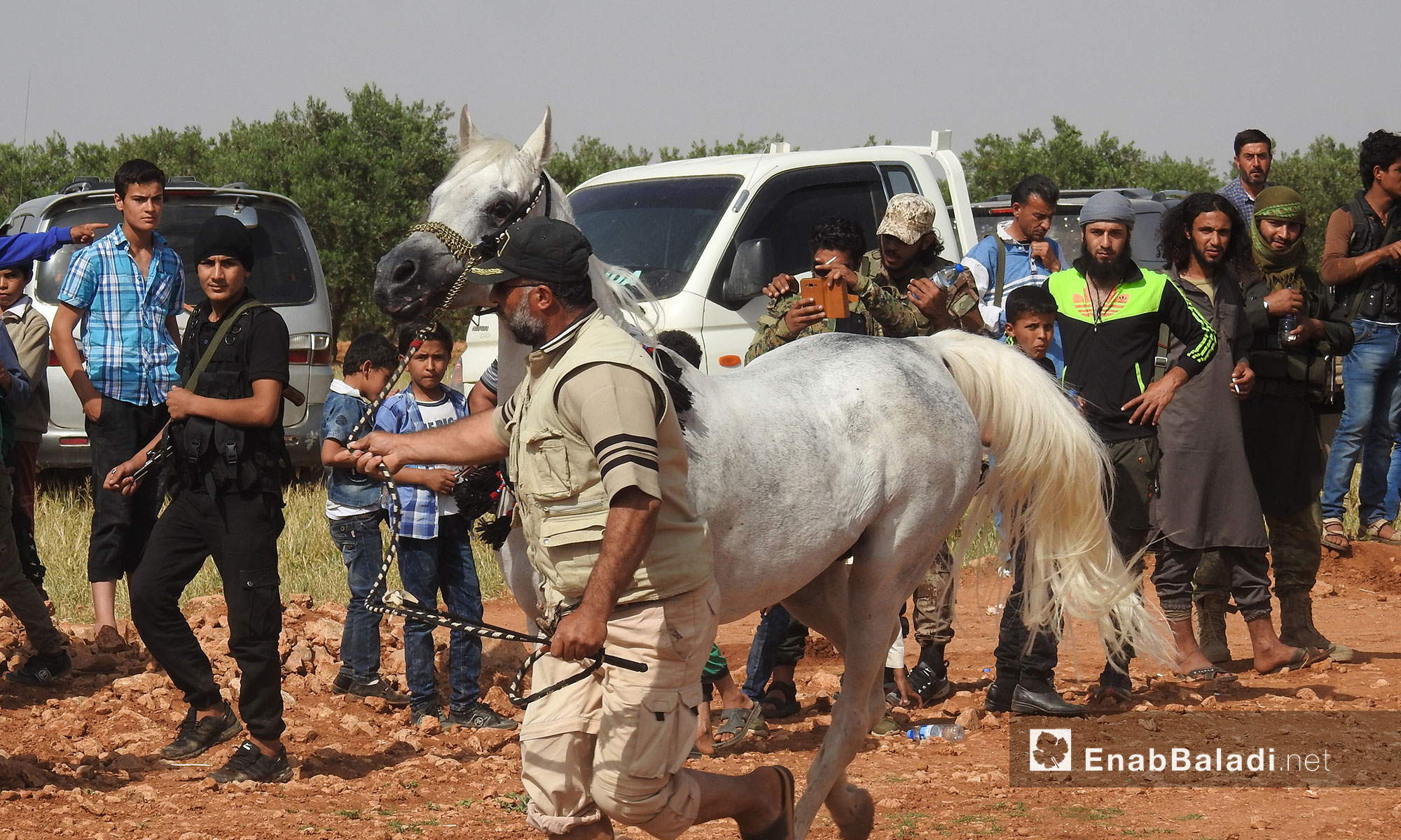مهرجان غصن الزيتون للخيول العربية الاصيلة في قرية نعمان شرقي حلب - 5 أيار 2018 (عنب بلدي)