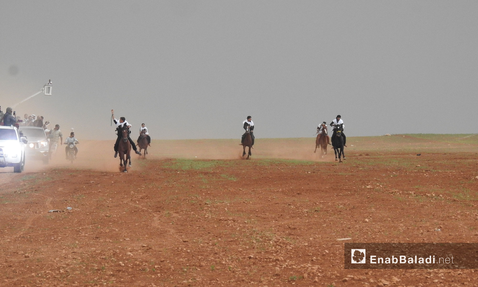 مهرجان غصن الزيتون للخيول العربية الاصيلة في قرية نعمان شرقي حلب - 5 أيار 2018 (عنب بلدي)