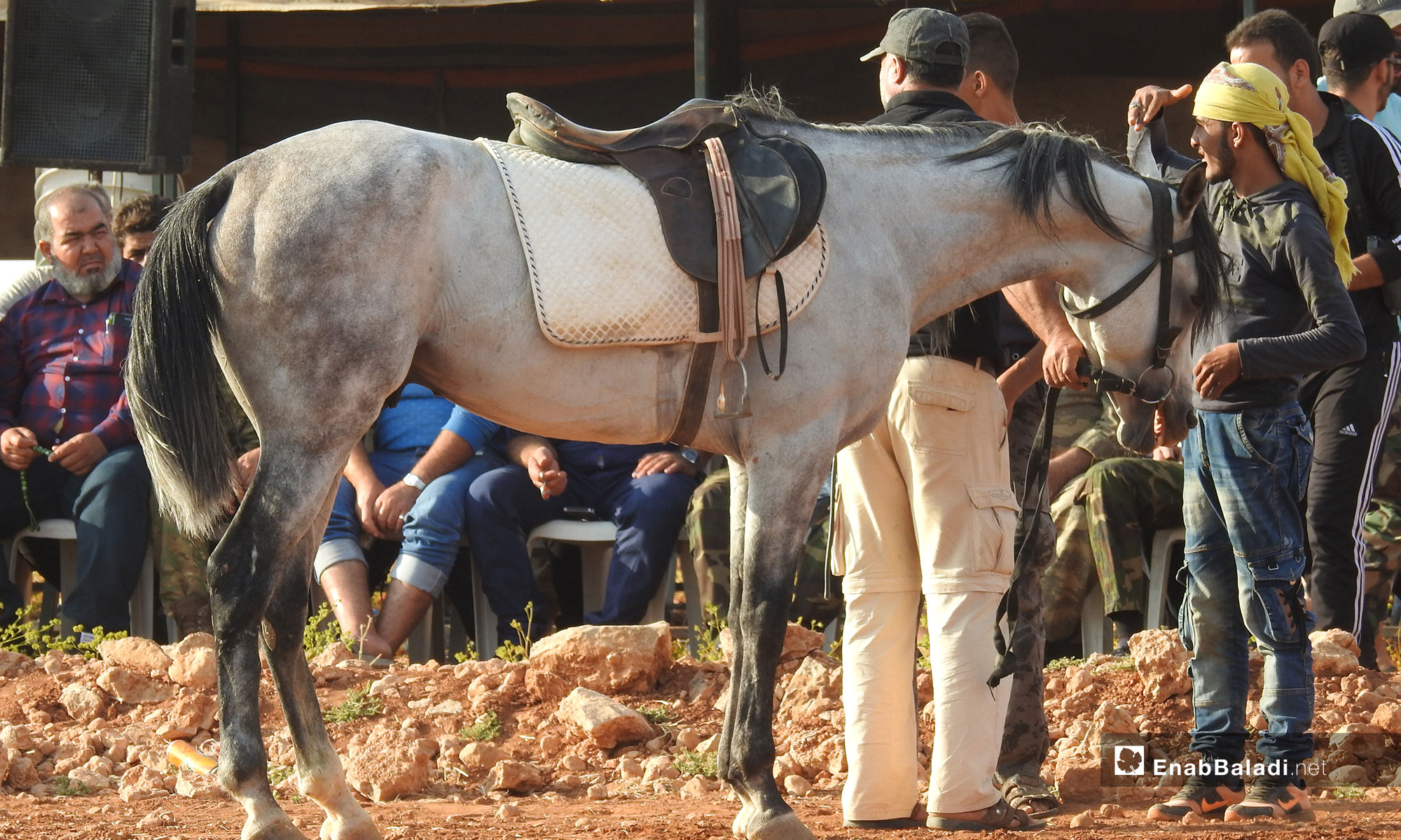مهرجان الأصالة للخيول العربية في ريف حلب - 9 من أيلول 2018 (عنب بلدي)