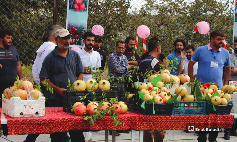 مهرجان الرمان في دركوش بريف إدلب - 11 تشرين الأول (عنب بلدي)