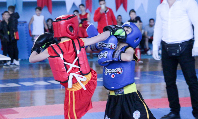 بطولة "كونغ فو" في ولاية غازي عينتاب التركية (الهيئة السورية للرياضة والشباب)